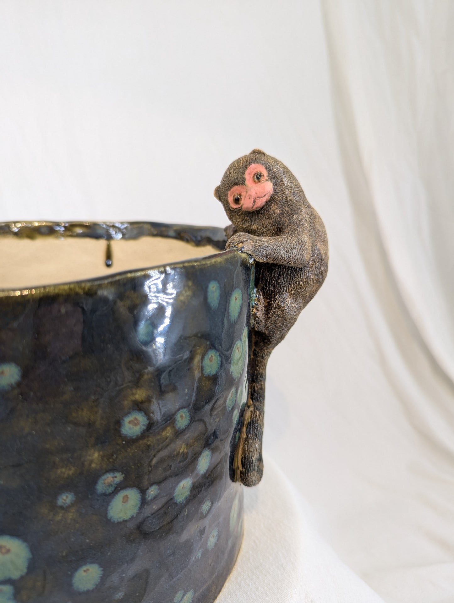 Peeking Marmoset Pot