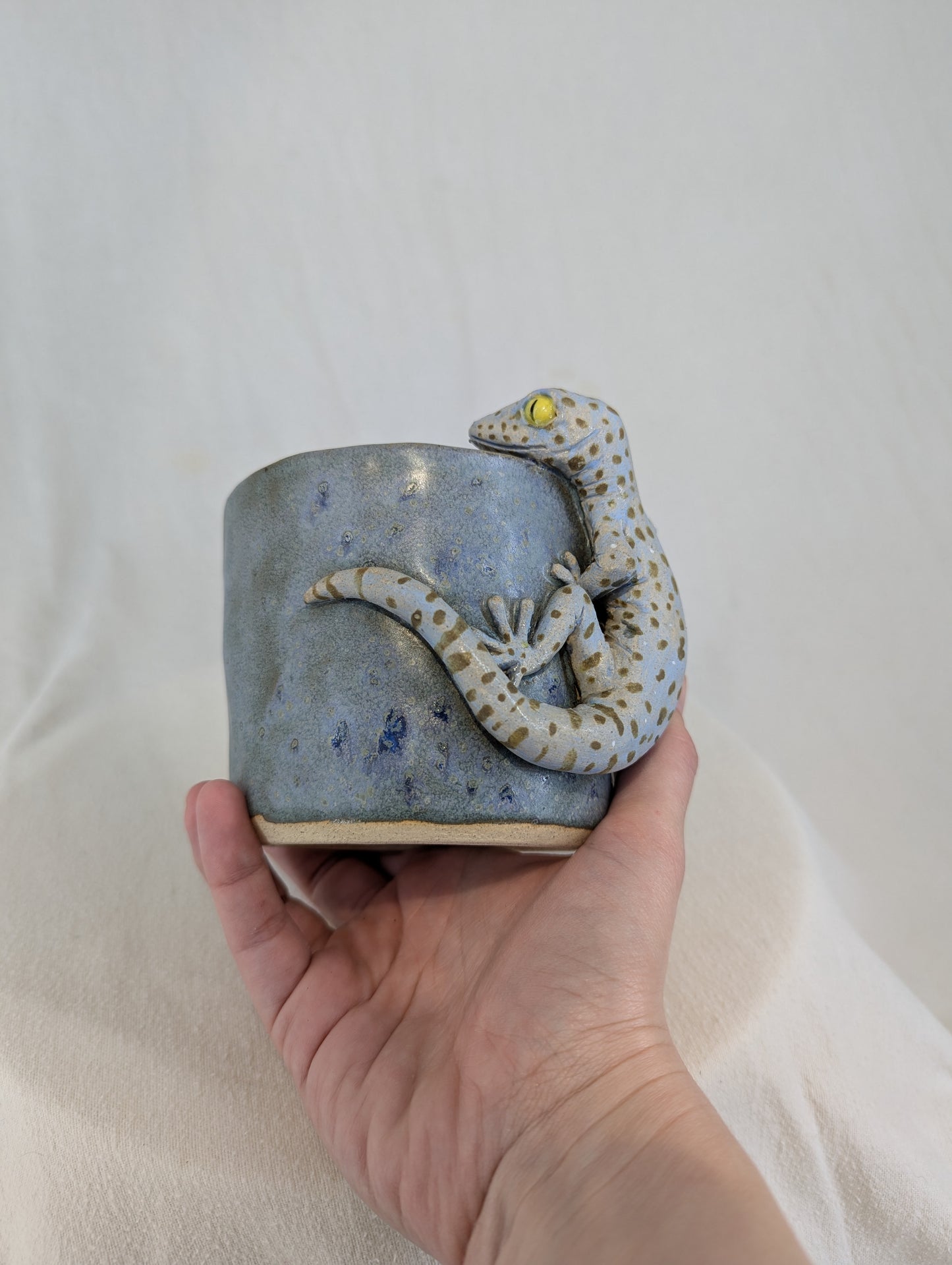 Peeking Tokay Planter
