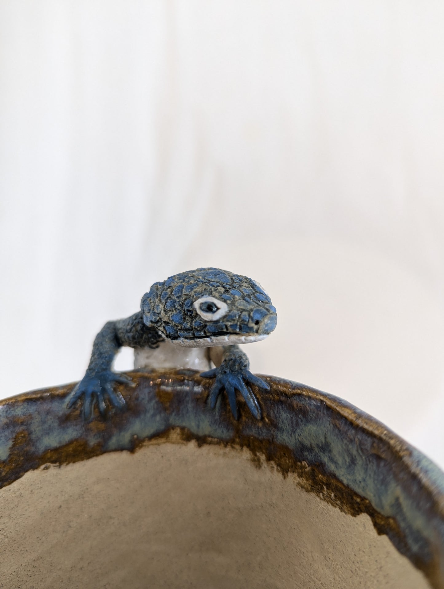 Peeking Mexican Alligator Lizard Planter