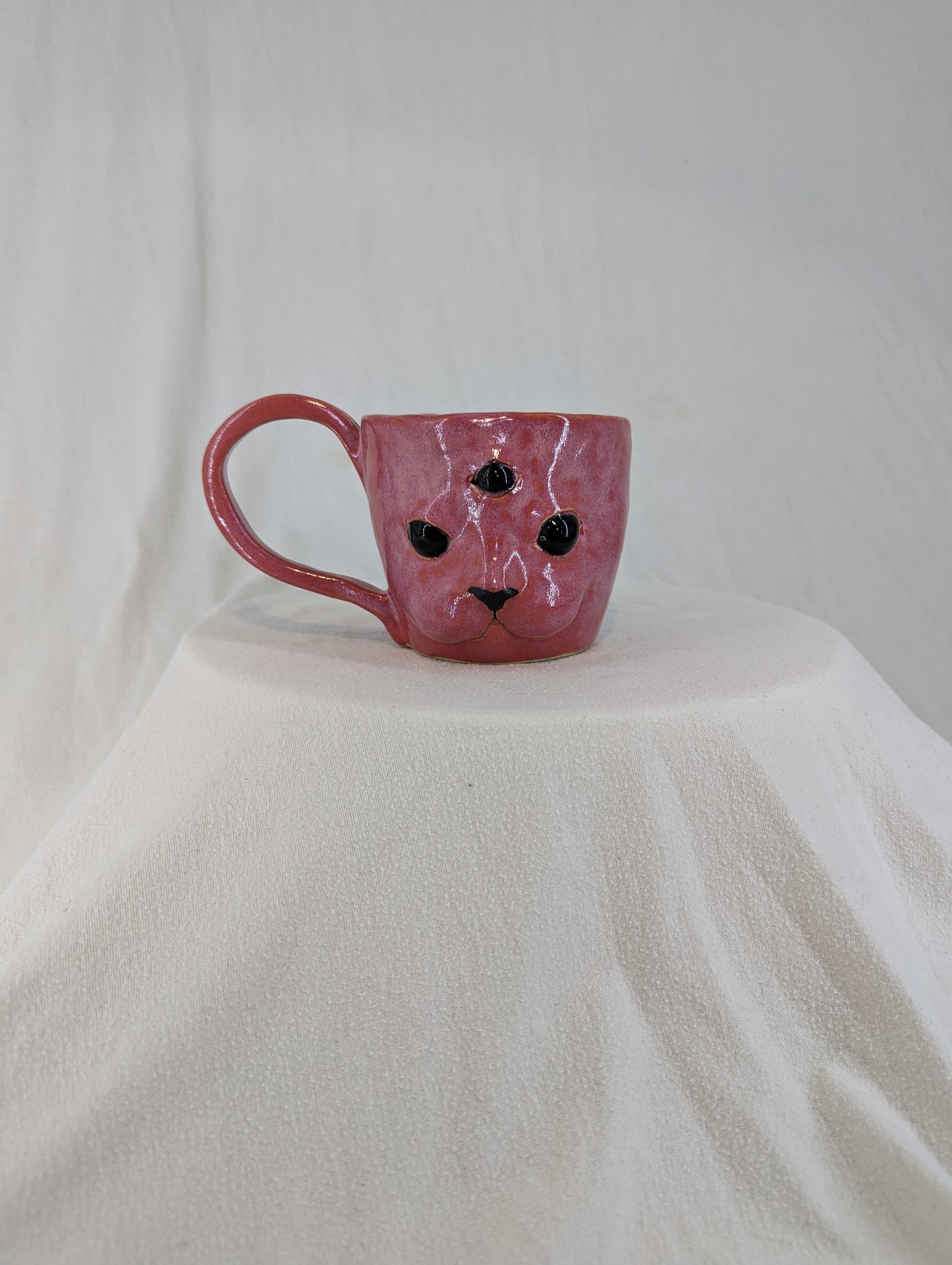 Cat Face Mug in Pink Posession