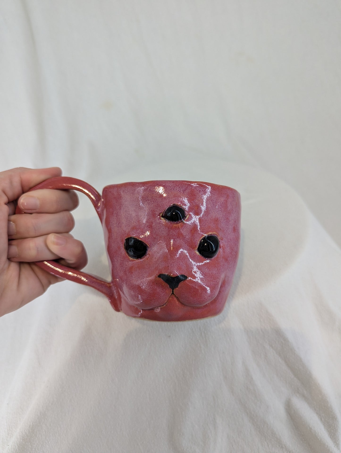 Cat Face Mug in Pink Posession